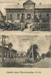 Niewiesze widokowa - Reprodukcja 37603