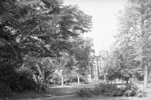 Pławniowice - Reprodukcja 37611