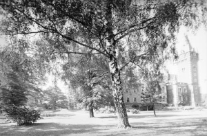 Pławniowice - Reprodukcja 37612