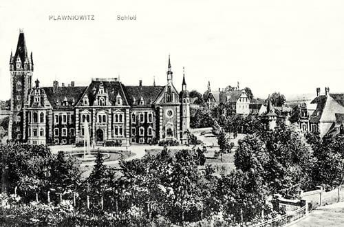 37625 (Copy).jpg
