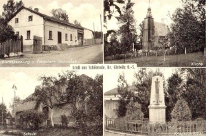 Sieroty widokowa - Reprodukcja 37637