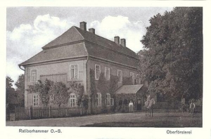 Kuźnia Raciborska - Reprodukcja 37724