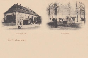 Kuźnia Raciborska - Reprodukcja 37725