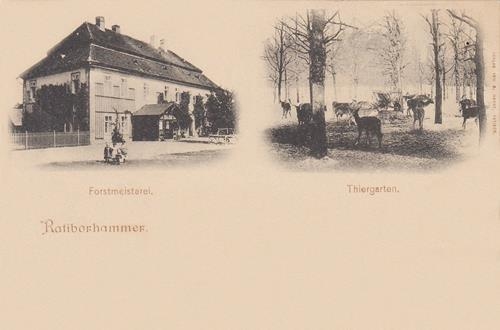 37725 (Copy).jpg