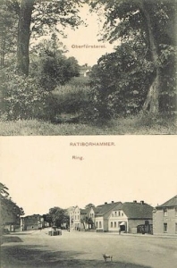 Kuźnia Raciborska - Reprodukcja 37730