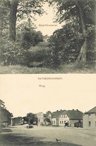 37730 (Copy).jpg
