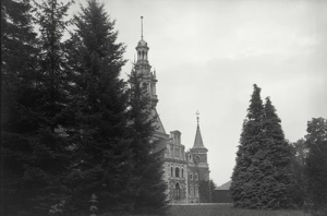 Krowiarki - Reprodukcja 37789