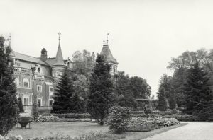 Krowiarki - Reprodukcja 37797