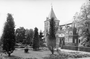 Krowiarki - Reprodukcja 37799