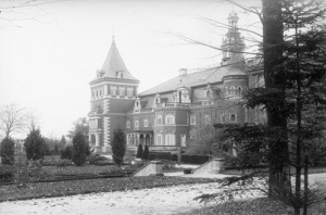 Krowiarki - Reprodukcja 37800