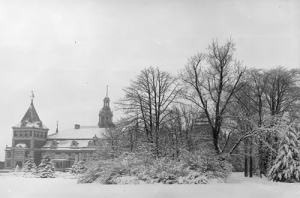 Krowiarki - Reprodukcja 37803