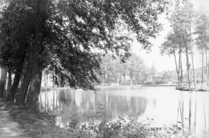 Krowiarki - Reprodukcja 37805