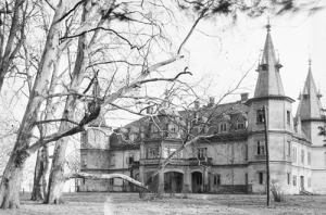 Krzyżanowice - Reprodukcja 37808