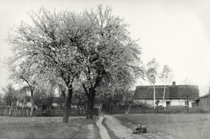 Nędza - Reprodukcja 37828