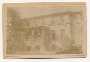 CDV Fotografia wizytowa - 14972
