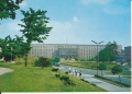 IMG_0043.jpg