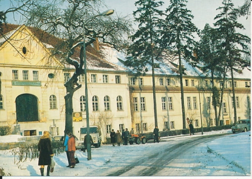 IMG_0031.jpg
