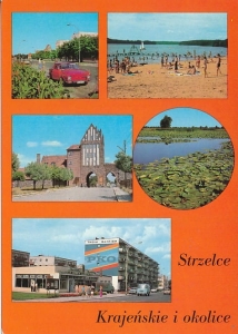 Strzelce Krajeńskie - 015113