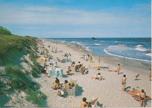 Dziwnówek - 015117