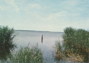Dziwnówek - 015166