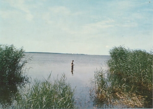 Dziwnówek - 015167
