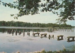 Dziwnówek - 015168