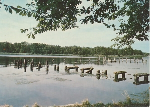 Dziwnówek - 015169