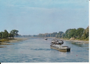 Krosno Odrzańskie - 015215