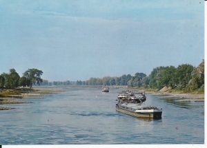 Krosno Odrzańskie - 015219