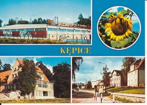 Kepice - 015252