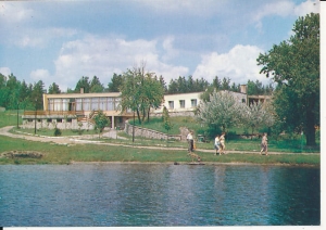 Witnica - 015384