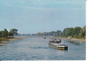 Krosno Odrzańskie - 015462