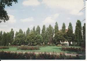 Szczecinek - 015550