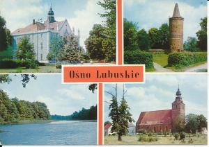 Ośno Lubuskie - 015552