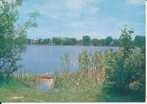 Międzychód - 015624