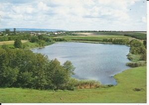 Cygańskie Doły - 015772