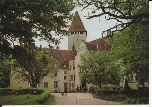 Lubniewice - 015779
