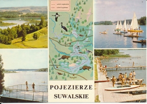Pojezierze Suwalskie - 015924