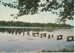 Dziwnówek - 015980