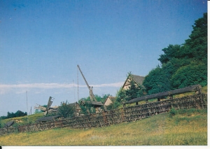 Nowogród - 016138