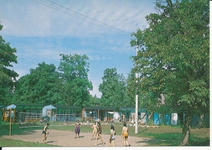 Dziwnówek - 016159