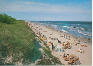 Dziwnówek - 016163