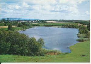 Cygańskie Doły - 016397