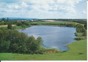 Cygańskie Doły - 016412