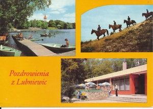Lubniewice - 016463