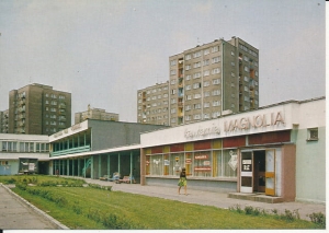 Knurów - 016502