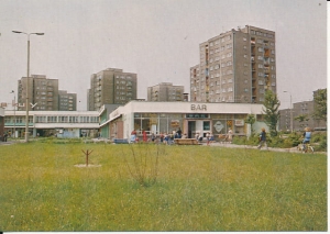Knurów - 016503