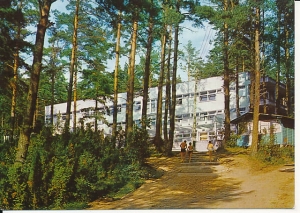 Okuniówek - 016527