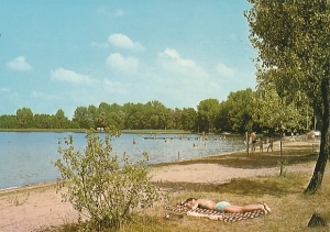 Pszczew - 016607