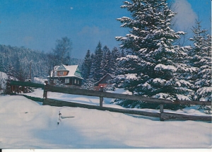 Wisła - 016690